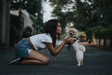Dog Behavior by Breed