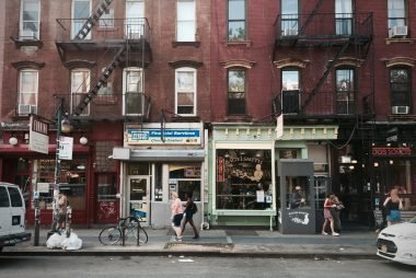 Which NY borough has the smartest dogs?